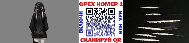 Кокаин Эквадор Суворов