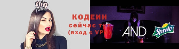 дурь Арсеньев